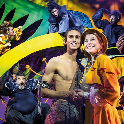 Tarzan | Musical | Familie | Stadttheater | Euskirchen